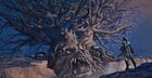Hephaistos Region Petrified Medusa Tree