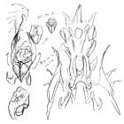 Rakna-Kadaki Sketches