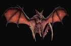 Bat Demon