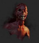 Zombie Head