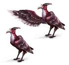 Bird Concept