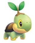 Turtwig