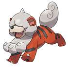 Hisuian Growlithe