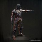 Champion Armor