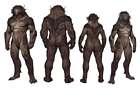 Dragonborn Body Concept Art