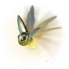 Gold Wirebug
