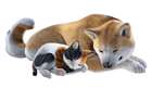 Loyal Dog and Striped Cat Pre-Order Bonus