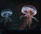 Spirit Jellyfish Concept Art