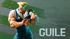 Guile Artwork