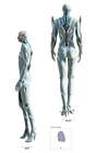 Singularity Side and Rear