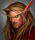 Blood Elf Cover Art