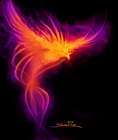 Phoenix Concept Art