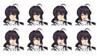 Saber Expressions