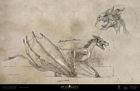 Field Guide Hebridean Black Drawing