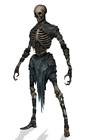 Bones Armor Set