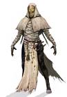 Descrier Guide Armor Set
