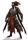 Knight of Adyr Armor Set