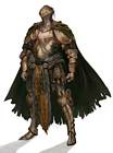 Sovereign Protector Armor Set