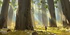 Ancient Forest