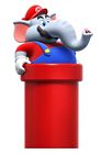 Elephant Mario in Warp Pipe