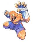 Sagat Artwork