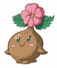 Maku Sprout