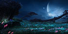 Grasslands Night Concept Art