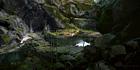Black Wind Cave