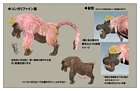 Congalala Concept Art