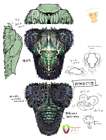 Pallbug Concept Art