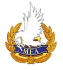 Magic Enforcement Administration