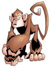 Monkey