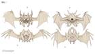 Demon Sketches