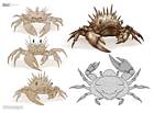 Spiky Crab Concept Art
