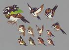 Sparrow Concept Artwork