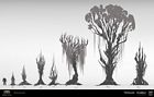 Tree Ideation