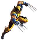 Wolverine