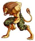 Gado, Lion