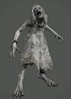 The Girl Render