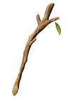 Deku Stick