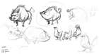 Boar Sketches